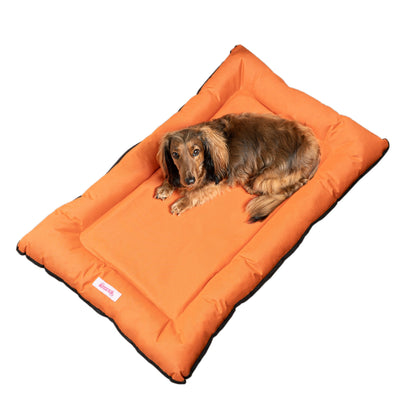 Lit de camping traditionnel en mousse à mémoire de forme pour animaux de compagnie Archie Oxford, imperméable, lavable à la main, pour intérieur et extérieur