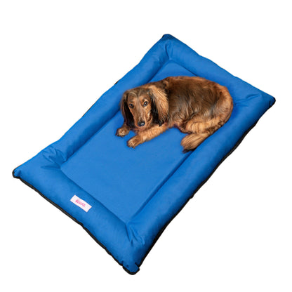 Lit de camping traditionnel en mousse à mémoire de forme pour animaux de compagnie Archie Oxford, imperméable, lavable à la main, pour intérieur et extérieur