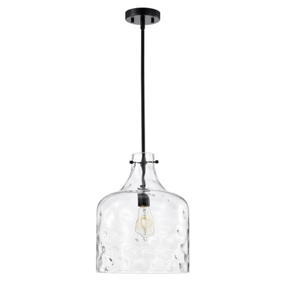 Daelan Clear Dimpled Glass Single Light Pendant Light - 12in