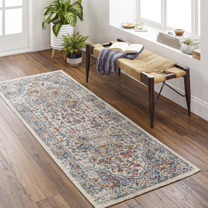 Tapis d'extérieur traditionnel médaillon Livabliss Huntington Beach remis au goût du jour