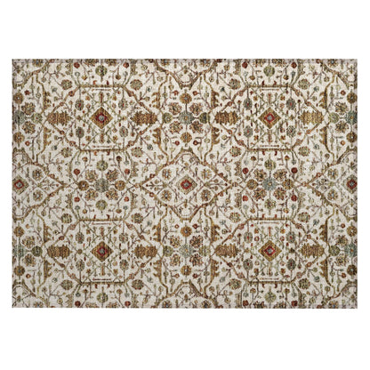 Tapis persan traditionnel Chantille lavable en machine pour intérieur/extérieur