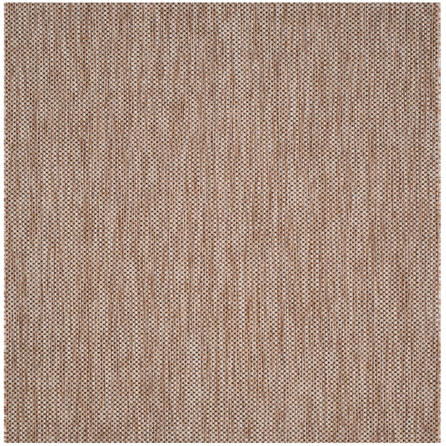 Tapis de jardin imperméable pour intérieur/extérieur SAFAVIEH Courtyard Begajeta.