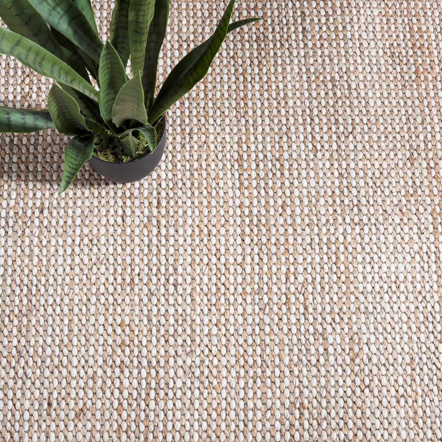 Tapis fait main en fibre naturelle Yareli en jute et laine SAFAVIEH.