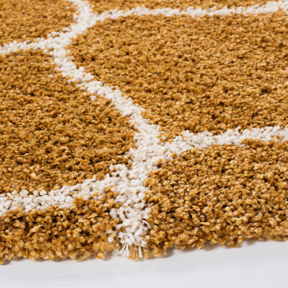 Tapis SAFAVIEH Hudson Shag Pushpa Trellis de 2 pouces d'épaisseur