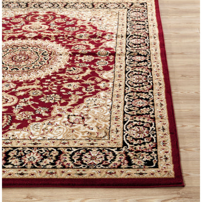 Tapis médaillon oriental traditionnel de la World Rug Gallery